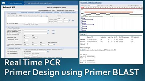 Primer designing for real time PCR using NCBI Primer Blast