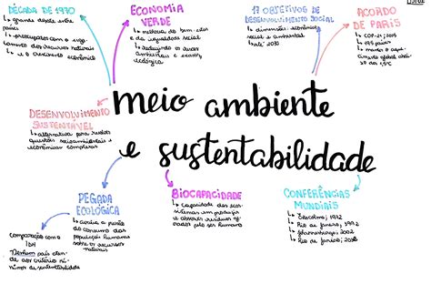 O Que E Sustentabilidade Resumo - 5