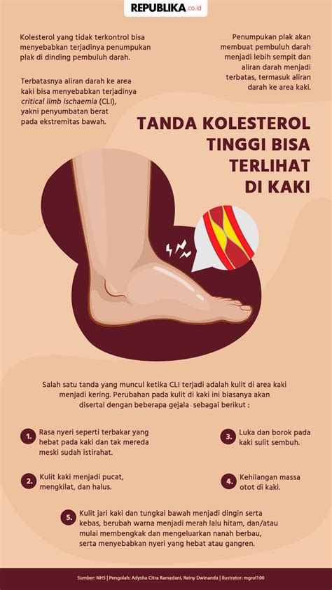 Infografis Tanda Kolesterol Tinggi Bisa Terlihat Di Kaki Republika Online