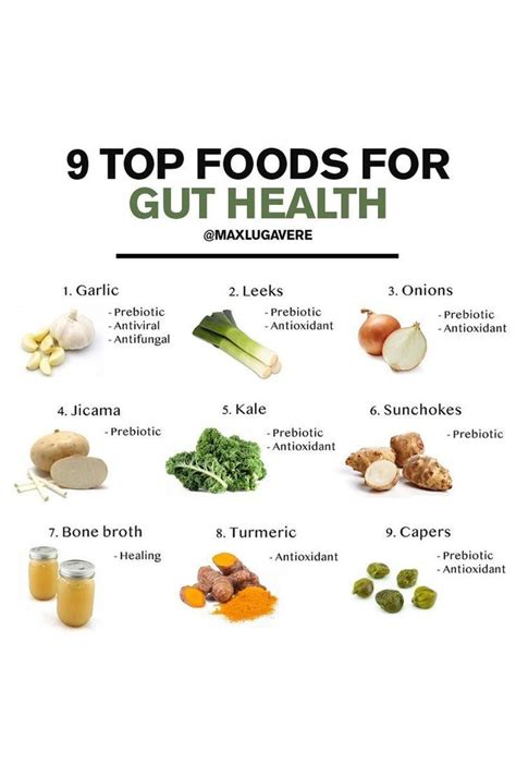 9 Best Gut Healing Foods For Healthy Digestion Gut Health Recipes