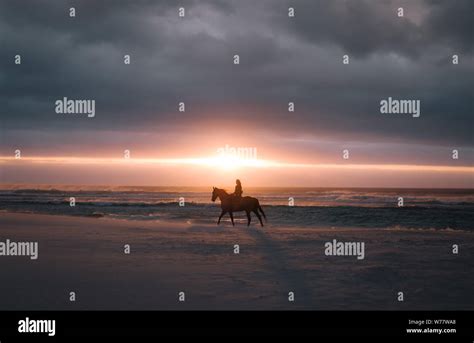 Frauenreitpferd Am Meeresufer Bei Sonnenuntergang Fotos Und