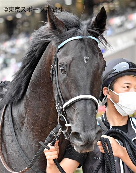 荒森ラッコ 新刊委託中 on Twitter RT tospo keiba ジャパンカップ は ヴェラアズール