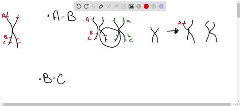 SOLVED: Crossing-over can happen at any location on homologous ...