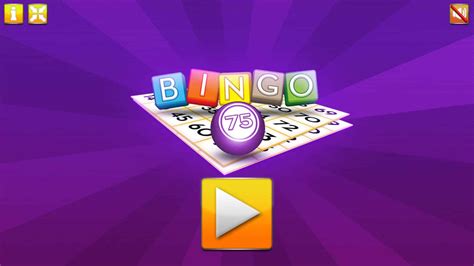 Everything You Need To Know About Bingo Slots🍽 Descubra A Emoção Das