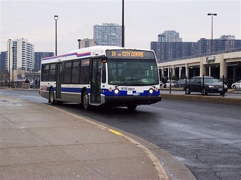 Brampton Transit Wikipedia