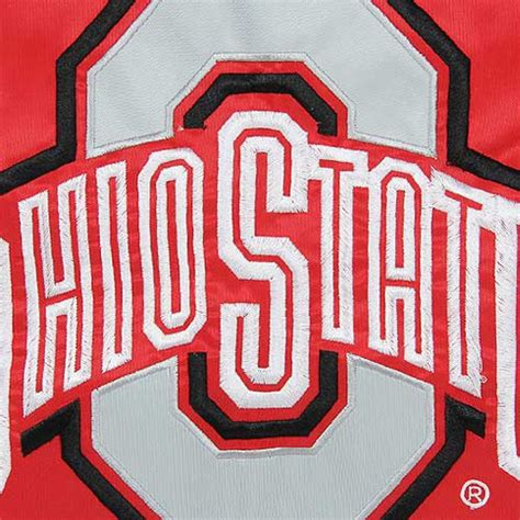 Ohio State Buckeyes 18'' x 12.5'' Fiber Optic Two-Sided Garden Flag ...