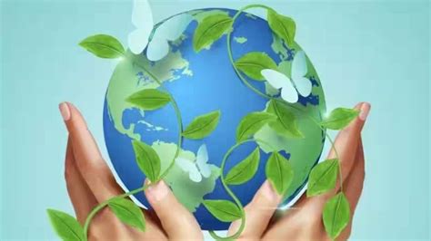 World Earth Day Significance Theme And Know Why Earth Day It Is