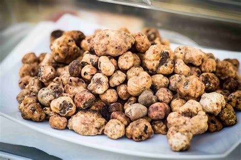 FESTA DEL TARTUFO PRIMAVERILE Casolaromatica