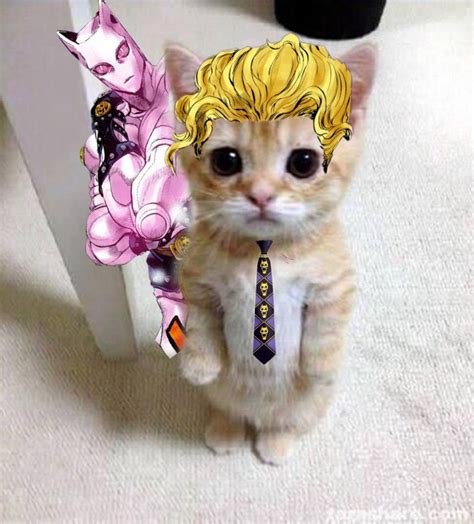 Kira Yoshikage Cat Милые рисунки Смешные рисунки Смешные фотографии