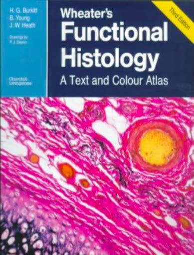 Wheater S Functional Histology A Text And Colour Atlas By H George