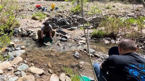 Gold Panning At Lynx Creek Prescott Arizona Gold Panning And