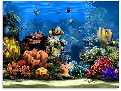 Aquarium Live Wallpaper Windows 10 - WallpaperSafari