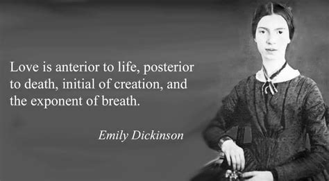 Emily Dickinson Love Quotes Emily Dickinson Quotes