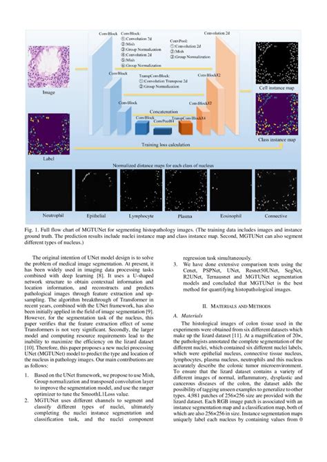 MGTUNet An New UNet For Colon Nuclei Instance Segmentation And