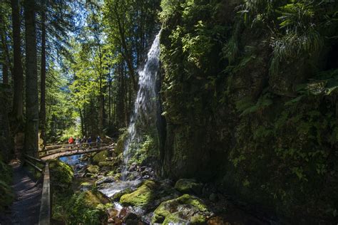 Albsteig Schwarzwald Tourismus Gmbh