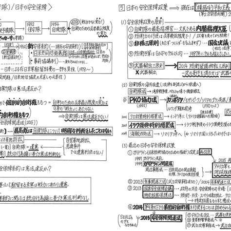 最短2週間完成【共通テスト】政治経済手書き解説プリント 大学受験教材販売