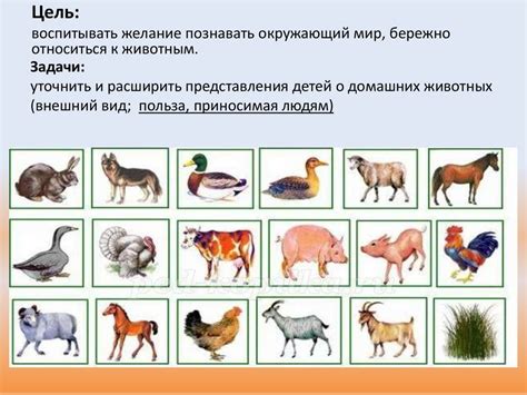 Какую пользу приносят домашние животные? - презентация онлайн