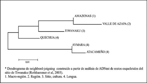 Dendrograma Neighbor Joining Tomado De Rothhammer Et Al 2003 273