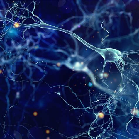 Así Actúan Las Sinapsis El Lenguaje De Las Neuronas En El Cerebro