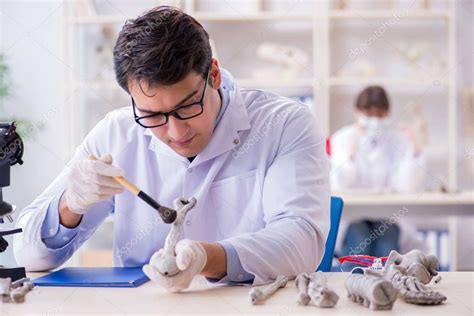 Profesor Estudiando Esqueleto Humano En Laboratorio 2024