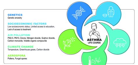 Common asthma triggers | Download Scientific Diagram