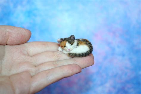 Miniature Sleeping Catneedle Felted Catdollhouse Etsy