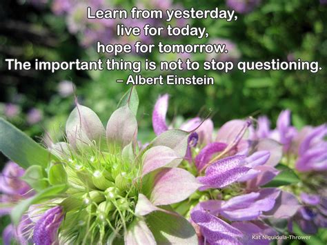 Learn from yesterday, live for today, hope for tomorrow - Albert Einstein
