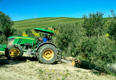 Maquinaria Agrícola Todo Lo Que Necesitas Para Cultivar Olivos Y Frutales Calero Group