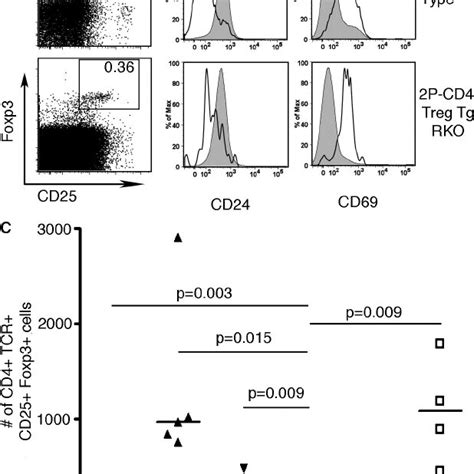 Foxp Cells Are Present In The Thymus Of T Reg Tcr Tg Mice At Higher