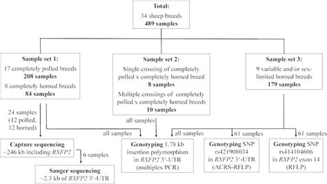 Overview of samples and molecular genetic methods used | Download ...