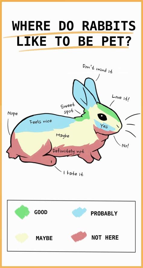 Printable Rabbit Diet Chart - Printable And Enjoyable Learning