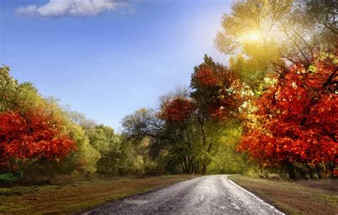 Wallpaper Road Autumn The Sky Leaves Rays Landscape Nature