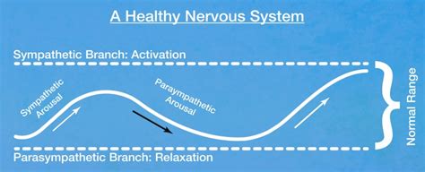 Susie Scott Therapy Somatic Experiencing Practitioner In London And Lewes Susie Scott Therapy