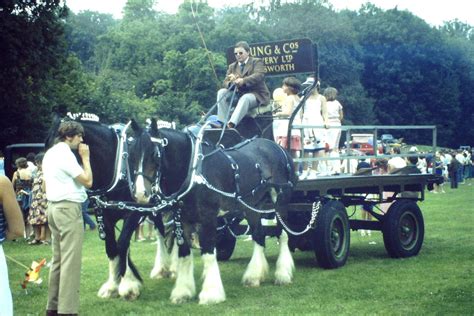 Youngs Brewery Horses © Colin Smith Cc By Sa20 Geograph Britain