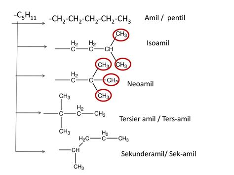 Ppt Gugus Alkil Sebagai Cabang Dengan Rumus C N H 2n1 Powerpoint