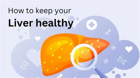 7 Simple Steps To Keep Your Liver Healthy