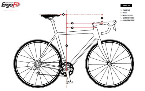 The Science Of Bike Fitting Science To Sport