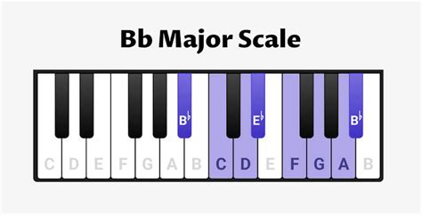 B Flat Major Scale On The Piano Scales Chords And Exercises Oktav