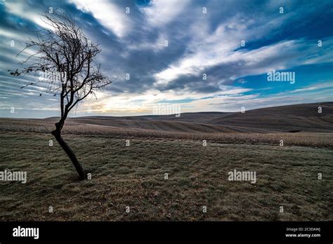 Autumn Fields in the Palouse, WA Stock Photo - Alamy