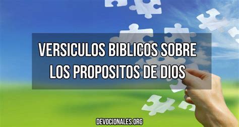 7 Versículos Bíblicos Sobre El Propósito de Dios Versículos bíblicos