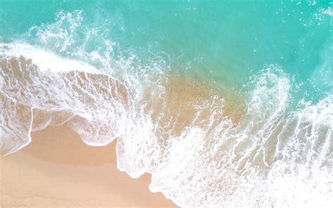 35 Inspirational Walt Whitman Quotes On Success Awakenthegreatnesswithin