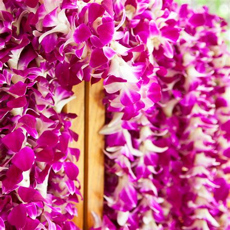 Fresh Hawaiian Orchid Leis delivered - Flower Leis as low as $9.90