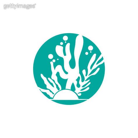 Seaweed Logo Ocean Ornamental Plant Design Marine Life Vector Symbol