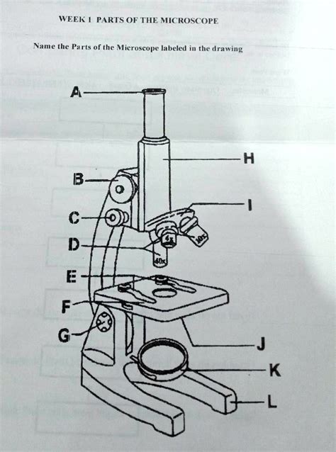 SOLVED: Parts of the Microscope Week Parts of the Microscope Name the ...