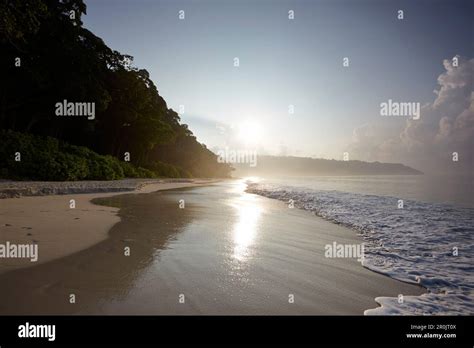 Beach No Or Radhanagar Beach In The Early Morning Forest Without