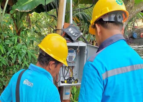 Program Electrifying Agriculture PLN Sukses Dukung Produktivitas 6 167