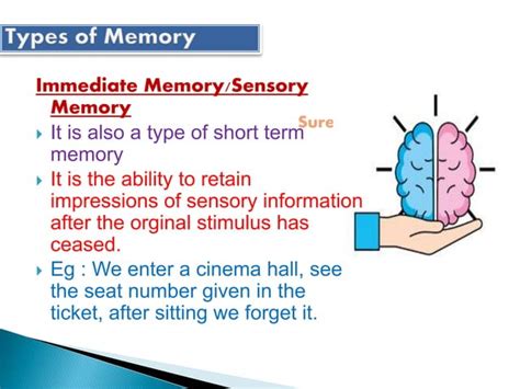 Memory - Definition-Types of Memory - factors influencing memory and ...