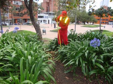 Jornada de limpieza siembra y recuperación del espacio público en Cha