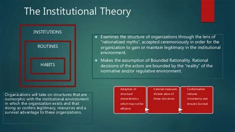 It Industry And Institutional Theory