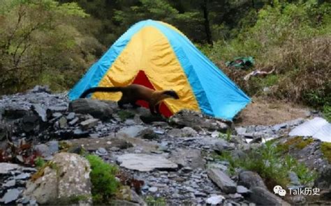 3名学生登山途中神秘失踪，留下三双插地指天筷子，含义至今成谜 知乎